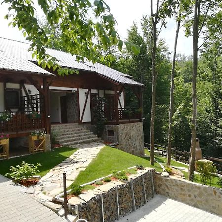 Casa Gozna Lejlighed Văliug Eksteriør billede