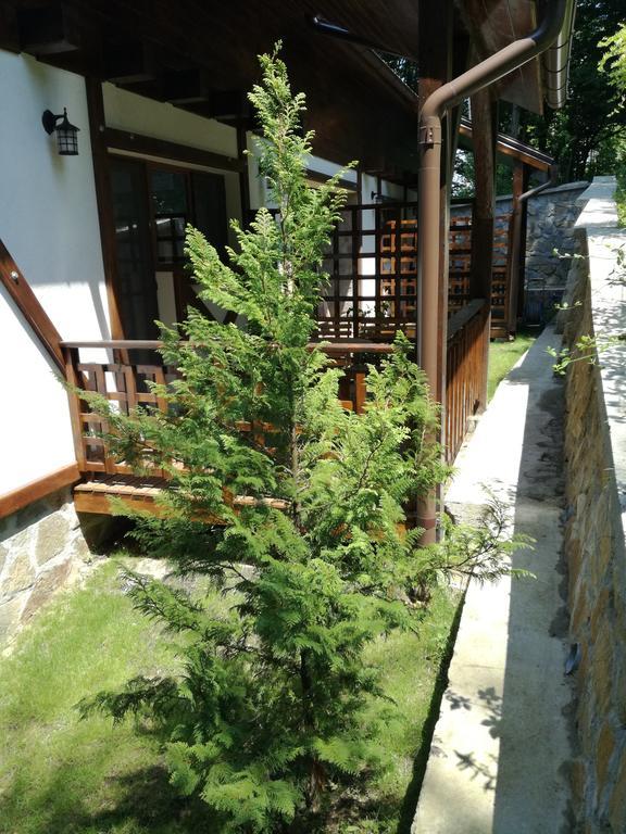 Casa Gozna Lejlighed Văliug Eksteriør billede