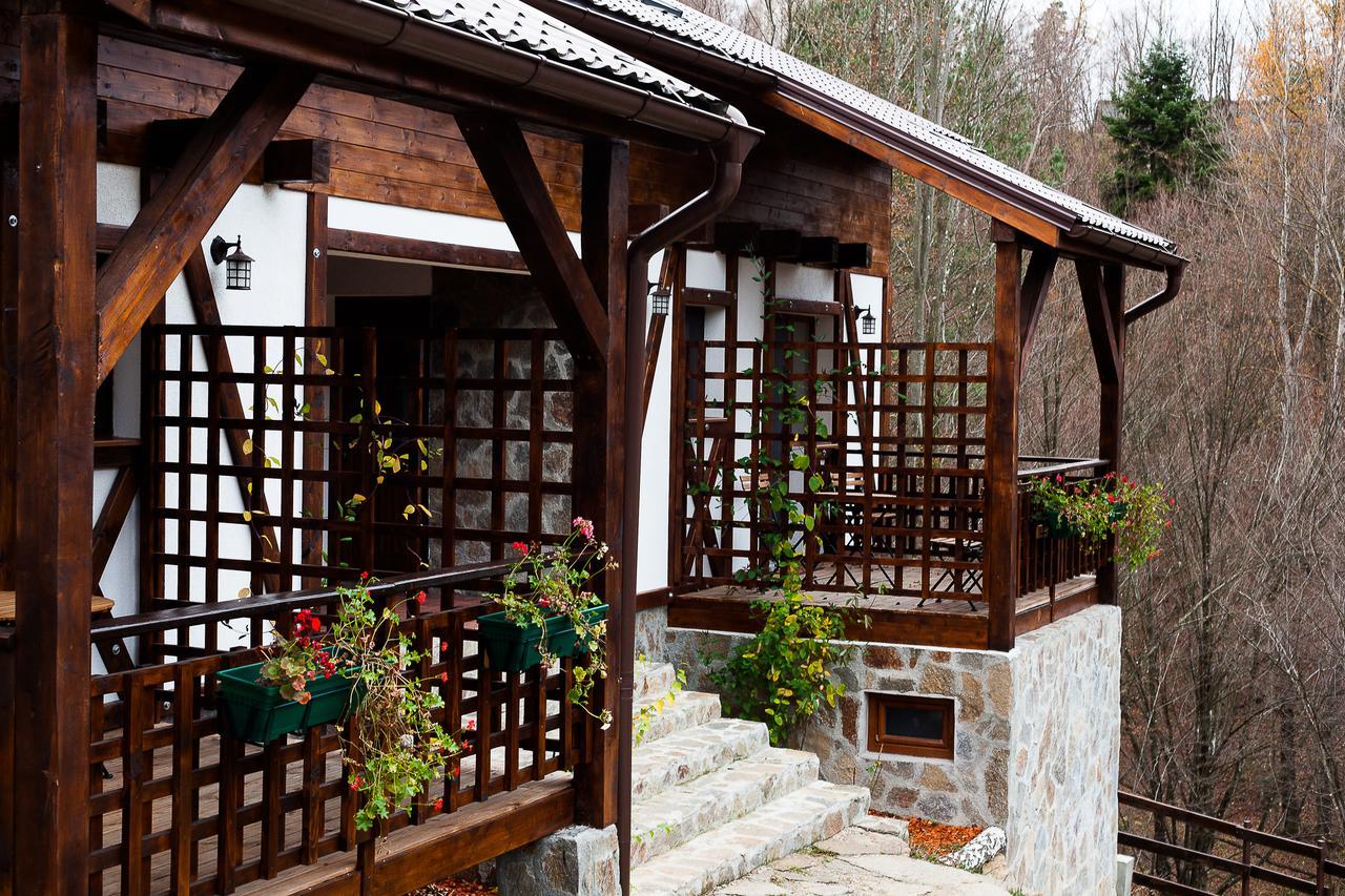 Casa Gozna Lejlighed Văliug Eksteriør billede